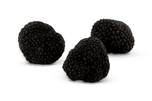 Black Autumn Truffle